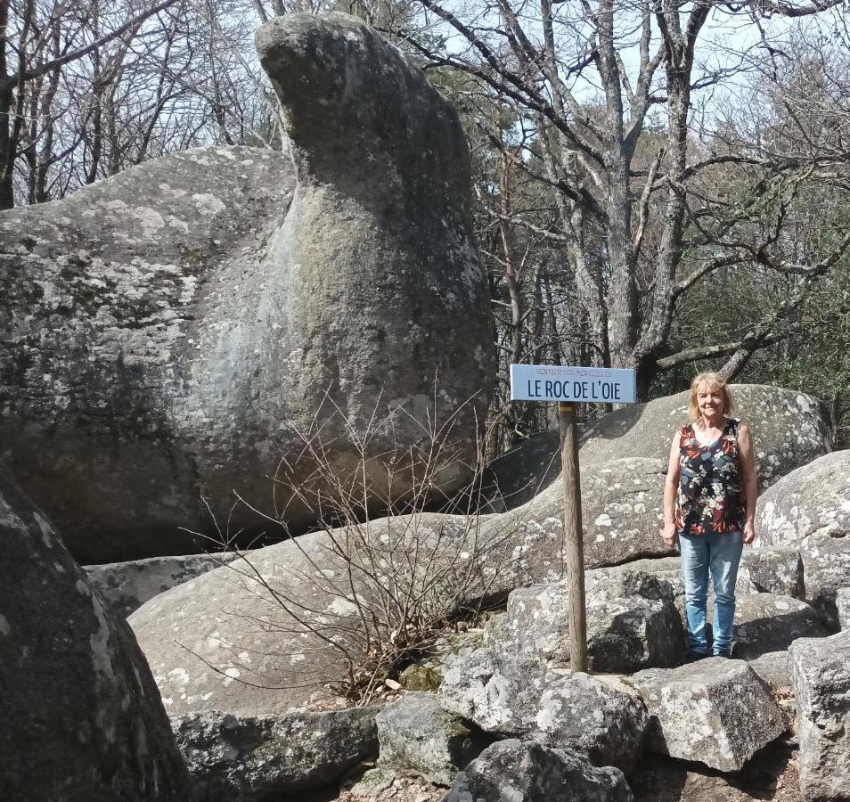 Gite Le Coumis 1370 Saint-Salvy-de-la-Balme Eksteriør bilde